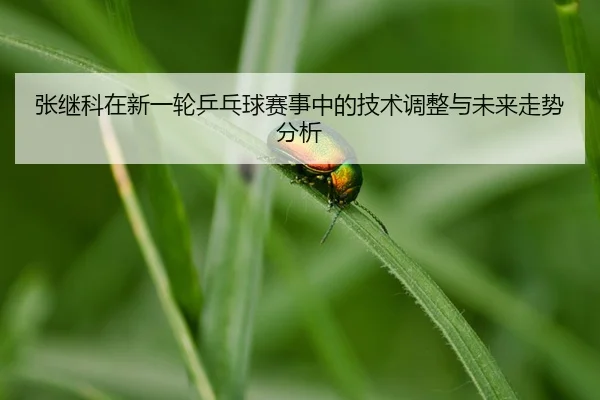 zhang-ji-ke-zai-xin-yi-lun-ping-pang-qiu-sai-shi-zhong-de-ji-shu-tiao-zheng-yu-wei-lai-zou-shi-fen-xi-2-313.jpg