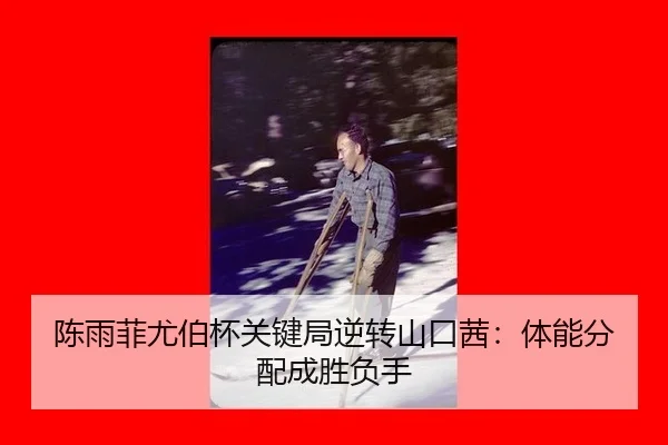 chen-yu-fei-you-bo-bei-guan-jian-ju-ni-zhuan-shan-kou-qian-ti-neng-fen-pei-cheng-sheng-fu-shou-3-368.jpg