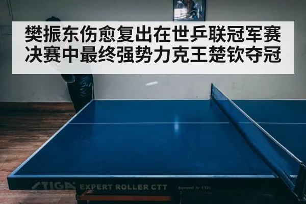 樊振东伤愈复出在世乒联冠军赛决赛中最终强势力克王楚钦夺冠
