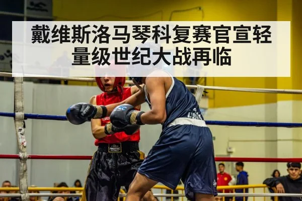 戴维斯洛马琴科复赛官宣轻量级世纪大战再临