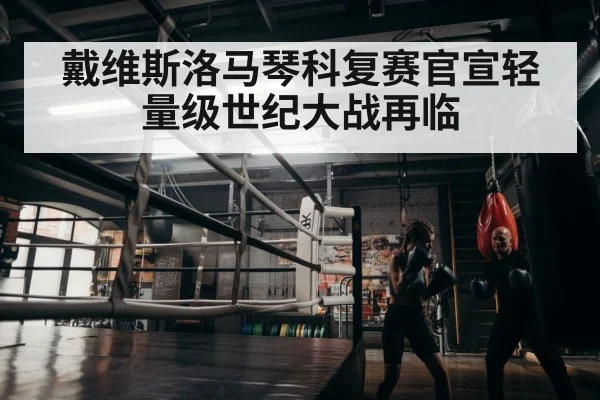 boxer training